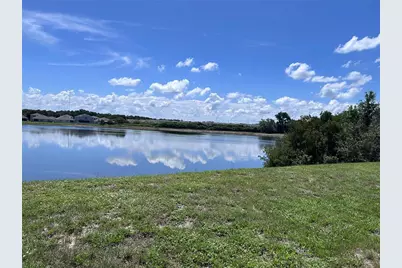 11669 Stone Pine Street, Riverview, FL 33569 - Photo 45