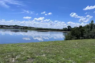 11669 Stone Pine St, Riverview, FL 33569 - Photo 45