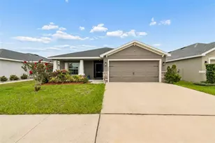 11669 Stone Pine St, Riverview, FL 33569 - Photo 5