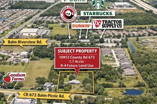 10912 672 Hwy, Riverview, FL 33579 - Photo 3