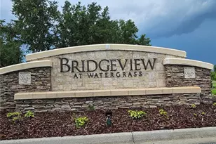 7306 Bridgeview Dr, Wesley Chapel, FL 33545 - Photo 53