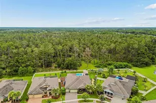 21882 Butterfly Kiss Dr, Land O Lakes, FL 34637 - Photo 97