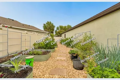 21882 Butterfly Kiss Drive, Land O Lakes, FL 34637 - Photo 49
