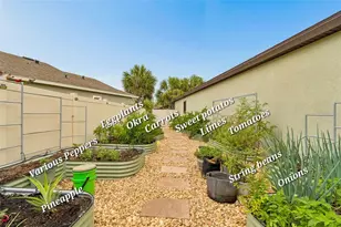 21882 Butterfly Kiss Dr, Land O Lakes, FL 34637 - Photo 49