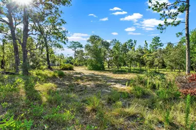 0 Condor Road, Brooksville, FL 34614 - Photo 19