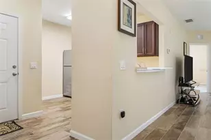 1231 Godavari Wy, Wesley Chapel, FL 33543 - Photo 11