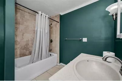 1122 E Oakwood Street, Tarpon Springs, FL 34689 - Photo 9