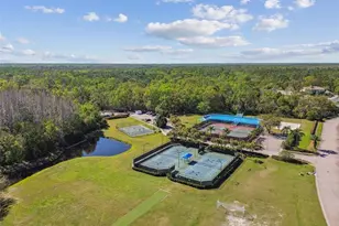 10746 Cory Lake Dr, Tampa, FL 33647 - Photo 81