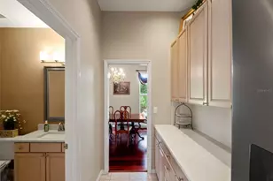 17422 Heather Oaks Pl, Tampa, FL 33647 - Photo 17