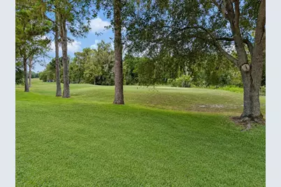 17422 Heather Oaks Place, Tampa, FL 33647 - Photo 67