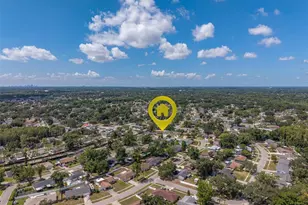 4228 Briarberry Ln, Tampa, FL 33624 - Photo 49