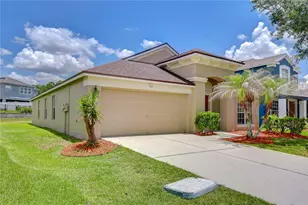 7548 Granitville Dr, Wesley Chapel, FL 33545 - Photo 3