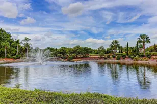 10411 Canary Isle Dr, Tampa, FL 33647 - Photo 53
