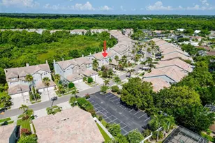 1722 Arabian Ln, Palm Harbor, FL 34685 - Photo 67