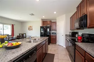10202 Cool Waterlily Ave, Riverview, FL 33578 - Photo 7