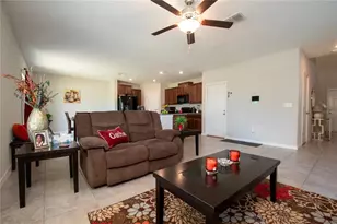 10202 Cool Waterlily Ave, Riverview, FL 33578 - Photo 5