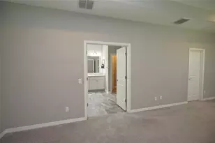 19460 Blossom Vine Ln, Lutz, FL 33558 - Photo 33