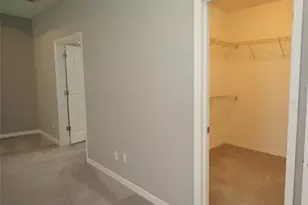 19460 Blossom Vine Ln, Lutz, FL 33558 - Photo 37