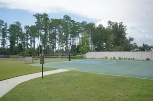 19460 Blossom Vine Ln, Lutz, FL 33558 - Photo 41