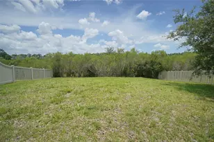 19460 Blossom Vine Ln, Lutz, FL 33558 - Photo 45