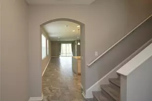 19460 Blossom Vine Ln, Lutz, FL 33558 - Photo 29