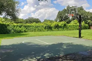 8412 Ridgebrook Cir, Odessa, FL 33556 - Photo 95