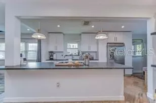 113 W Davis Blvd, Tampa, FL 33606 - Photo 3