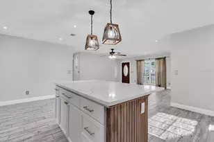 6832 Swain Ave, Tampa, FL 33625 - Photo 13