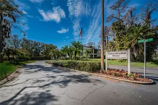 124 Woodlake Wynde, Oldsmar, FL 34677 - Photo 45