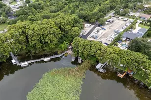 2958 Dundee Dr, Palm Harbor, FL 34684 - Photo 59