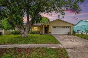 2815 Linden Tree St, Seffner, FL 33584 - Photo 1