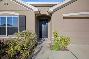 2812 Gumbo Limbo Dr, Wimauma, FL 33598 - Photo 29