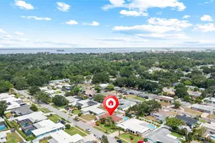 1070 McCarty St, Dunedin, FL 34698 - Photo 53