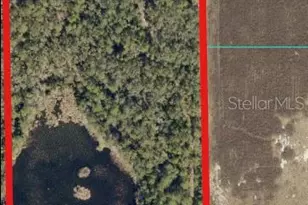 0 E Hwy 318, Citra, FL 32113 - Photo 1