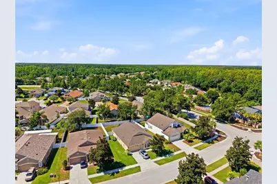 19406 Sunset Bay Drive, Land O Lakes, FL 34638 - Photo 41