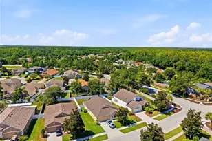 19406 Sunset Bay Dr, Land O Lakes, FL 34638 - Photo 41
