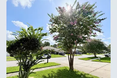 14606 Coral Berry Drive, Tampa, FL 33626 - Photo 39