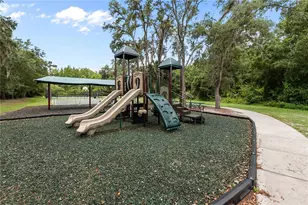 14834 Man O War Dr, Odessa, FL 33556 - Photo 43