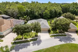 14834 Man O War Dr, Odessa, FL 33556 - Photo 11