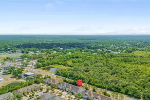 10316 Holstein Edge Pl, Riverview, FL 33569 - Photo 45
