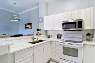 18107 Peregrines Perch Pl, Lutz, FL 33558 - Photo 11