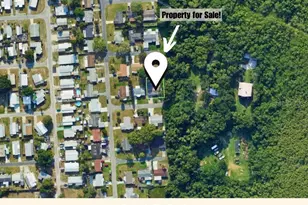 1650 Bold Ln, Holiday, FL 34691 - Photo 7