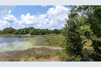 0 State Road 52, Land O Lakes, FL 34638 - Photo 9