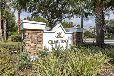 7832 Blue Spring Drive, Land O Lakes, FL 34637 - Photo 41