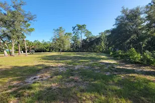2075 S Colonial Ave, Homosassa, FL 34448 - Photo 1