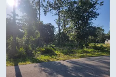 2075 S Colonial Avenue, Homosassa, FL 34448 - Photo 3