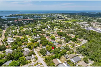 1335 15th Street, Palm Harbor, FL 34683 - Photo 33