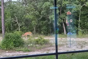 14610 Hidden Deer Trl, Brooksville, FL 34614 - Photo 57