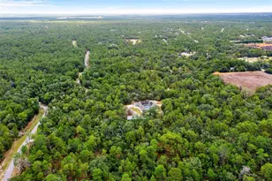 14610 Hidden Deer Trl, Brooksville, FL 34614 - Photo 77