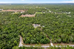 14610 Hidden Deer Trl, Brooksville, FL 34614 - Photo 75